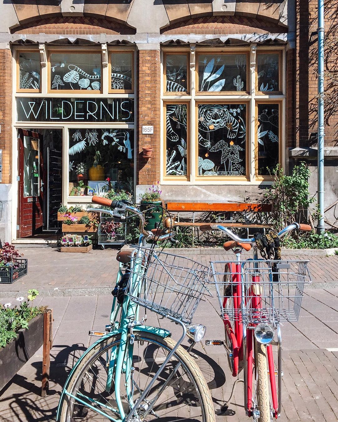 wildernis-plantenwinkel-amsterdam