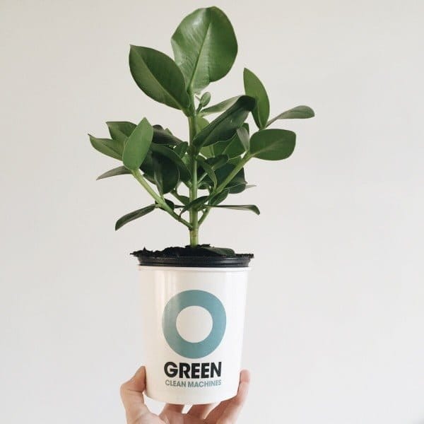 Meer groen in huis met Ogreen