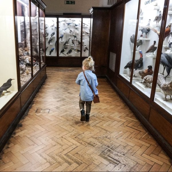 kids-proof-london-Horniman Museum
