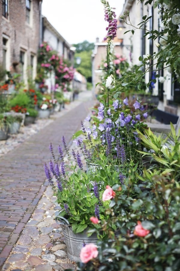 dagtripje naar Vestingsstad Elburg