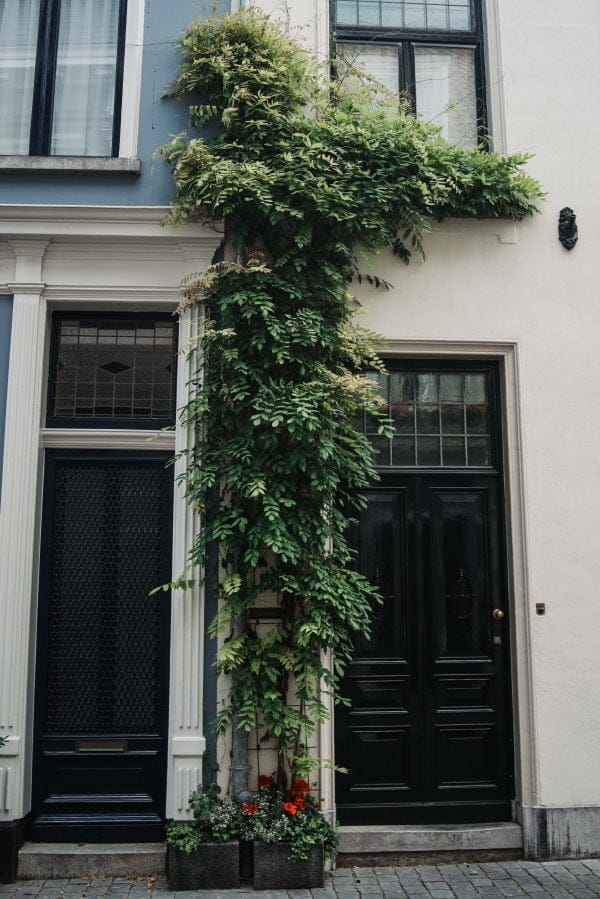 bergen-op-zoom-steegjes