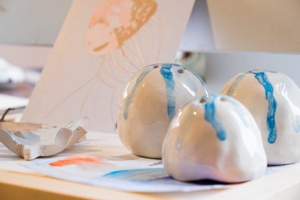 klasinart Schiermonnikoog