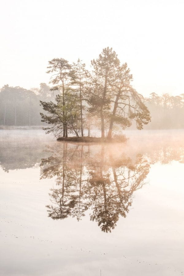 Droom weg bij de Zweedse mini-eilandjes in de Oisterwijkse vennen