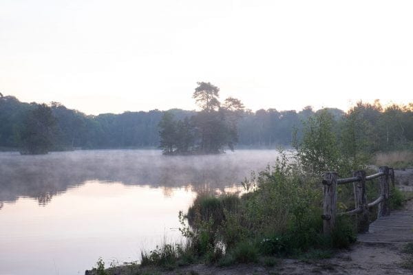 Droom weg bij de Zweedse mini-eilandjes in de Oisterwijkse vennen