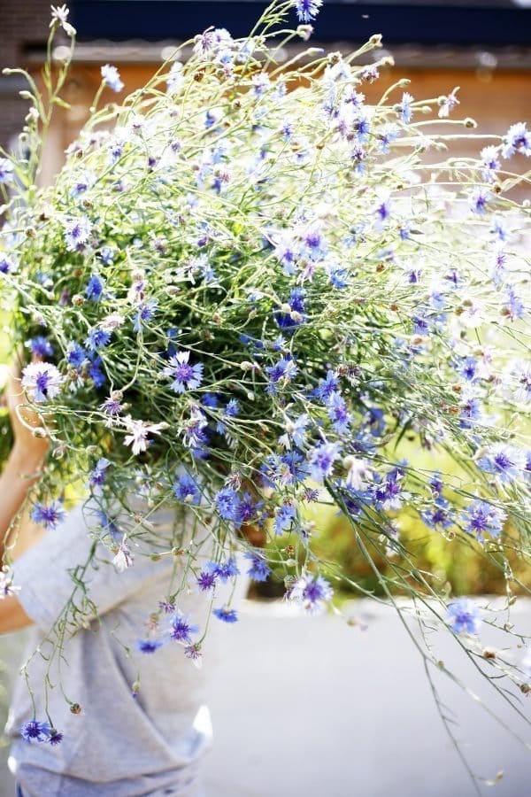 wonen in gaasterland