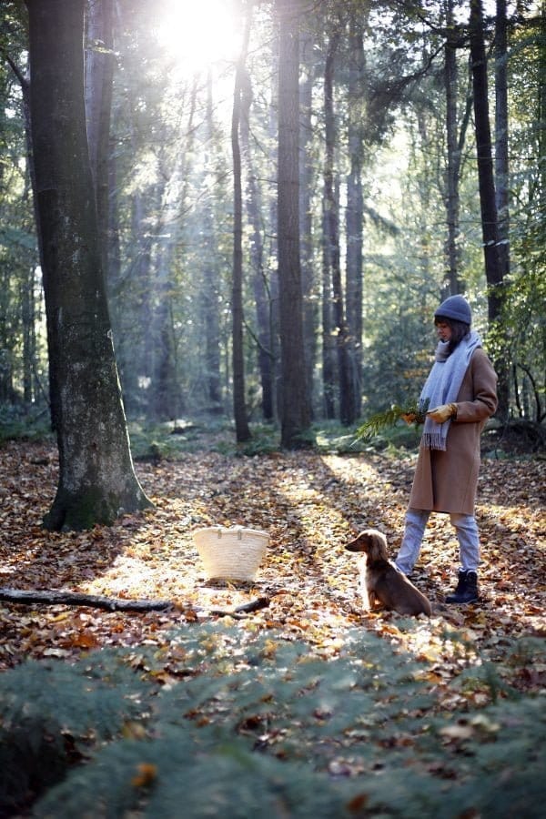 simpel boeket uit het bos Food Bandits 5 e1594325476568 - De fijnste vakantiehuisjes in Gaasterland (Friesland)