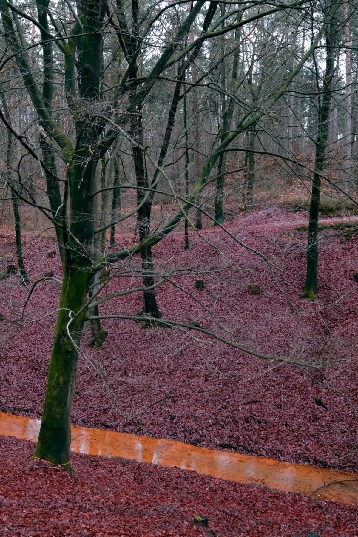 Wandelen bij de hoogste waterval van NL