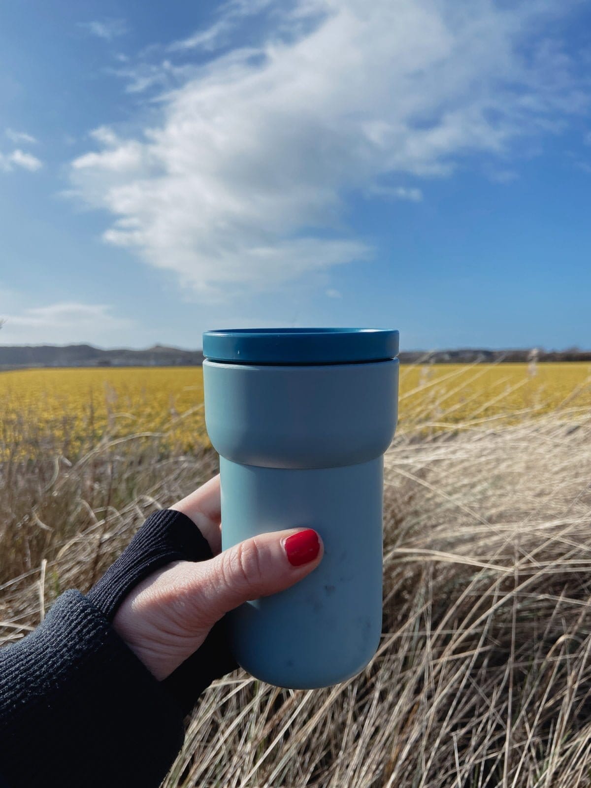 Mepal koffiebeker mee voor onderweg