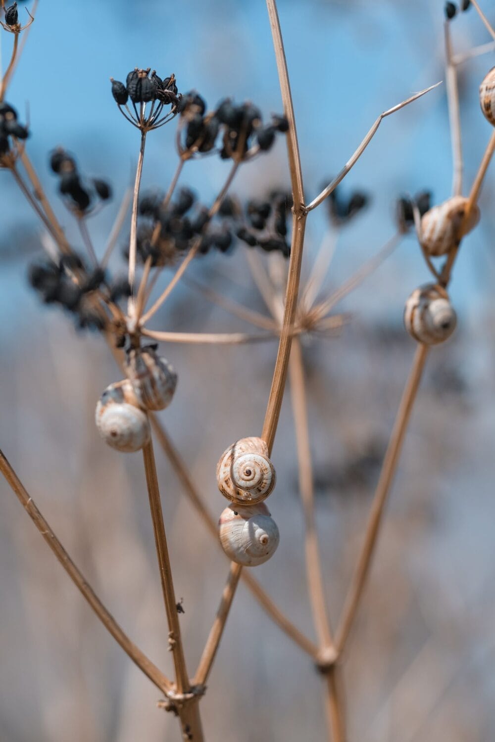 Ile de Re wandelen naar Pointe de Loix