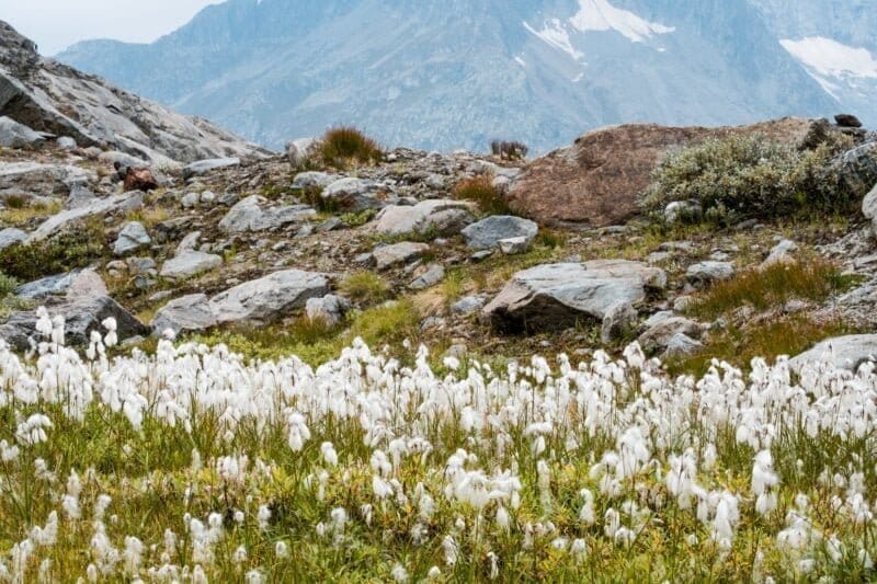 Wandelvakantie Zwitserland