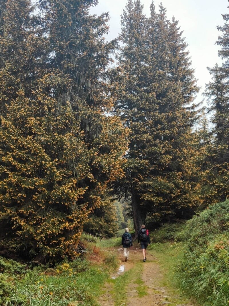 Heilkräuterpfad in Zwitserland