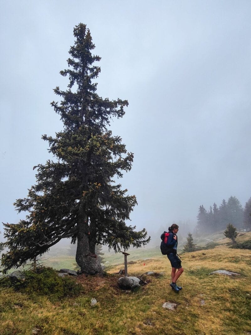 Heilkräuterpfad in Zwitserland