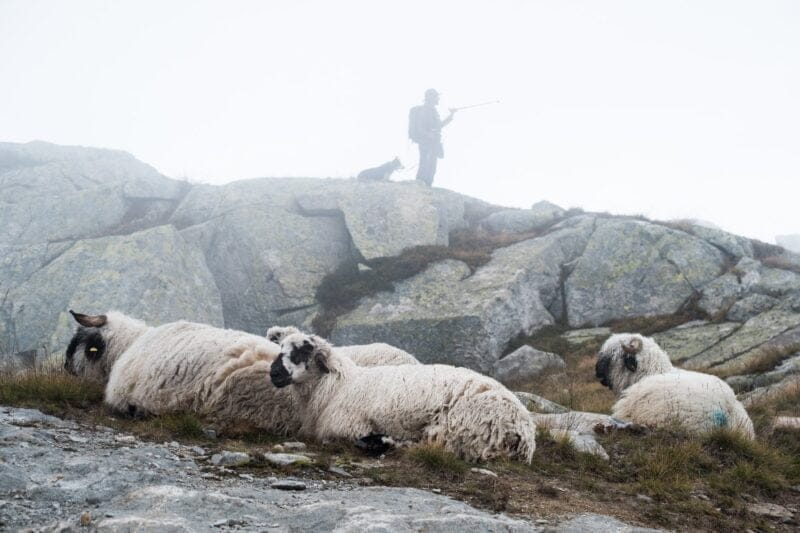  Wandelvakantie Move to Mountains