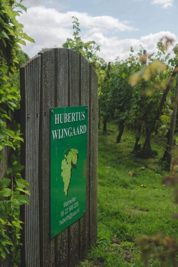 De Route des Vins in Zuid Limburg