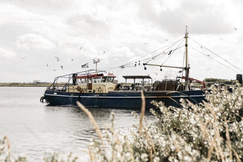 Een bezoek aan Neeltje Jans